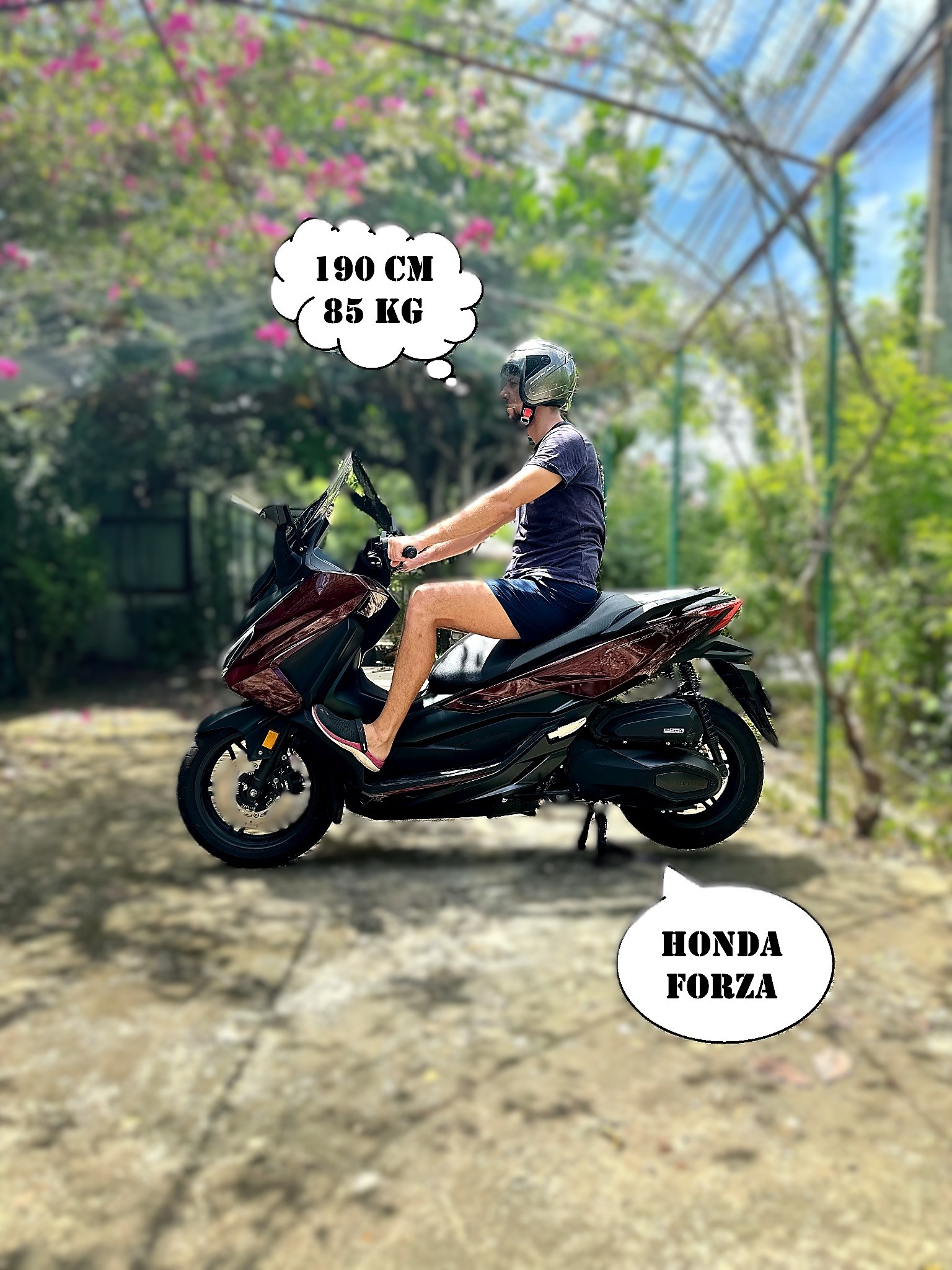 Honda Forza вЂ” comfort for longer rides