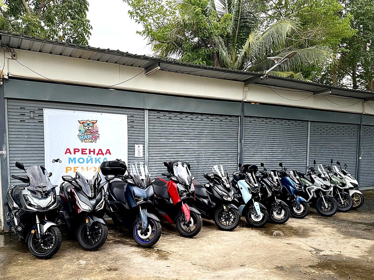 Happy Rent Phuket fleet